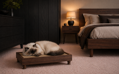 Natural  Wood Frame Scratcher